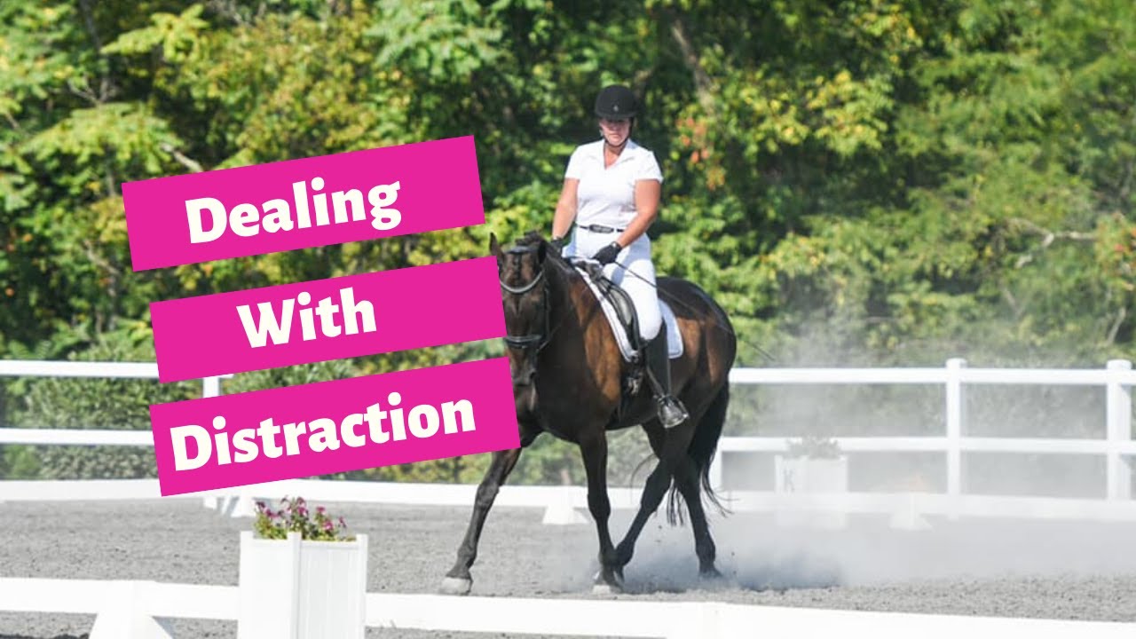 Dealing With A Distracted Dressage Horse