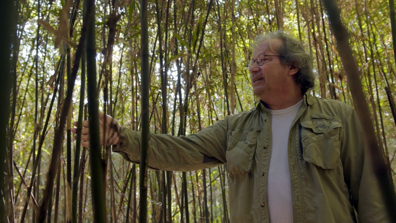 Teaching His Treasure: Blowgun Maker Danny McCarter