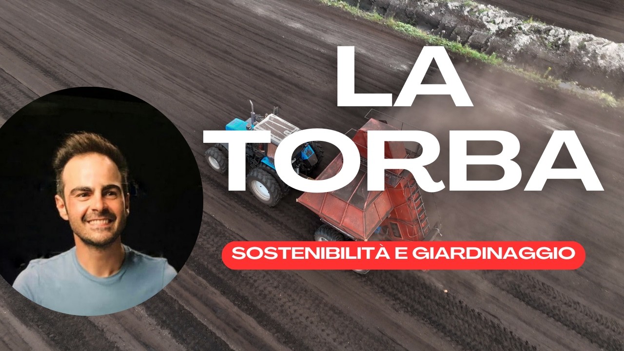 La Torba e il Suo Impatto: Scegliere un Giardinaggio Sostenibile