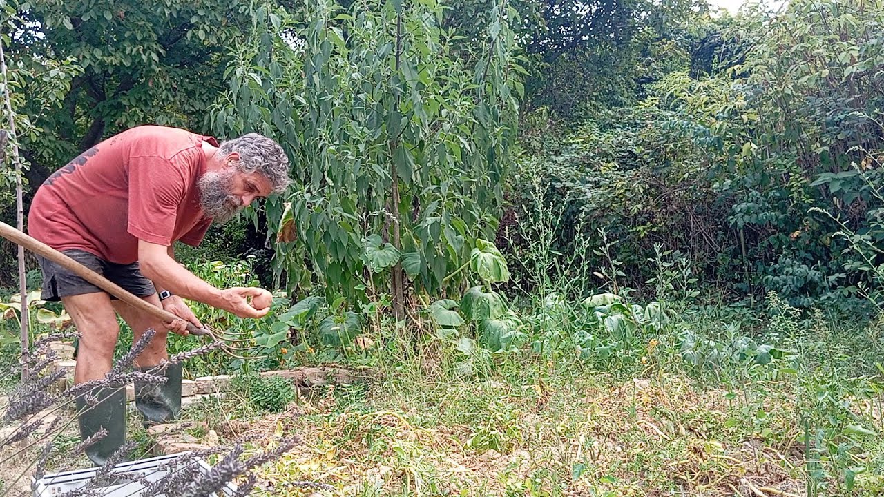 Selbstversorger Alltag in Ungarn #138 Auswanderer in Ungarn