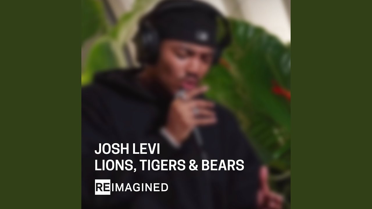 Lions, Tigers & Bears (Reimagined)