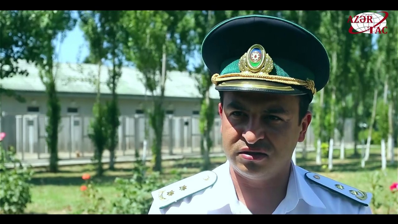 Sərhədlərimizin görünməyən qəhrəmanları ilə bir gün - Kinoloji Mərkəzdən REPORTAJ