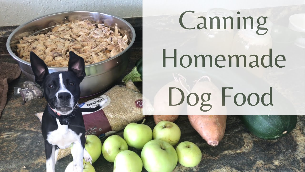 Canning Homemade Dog Food
