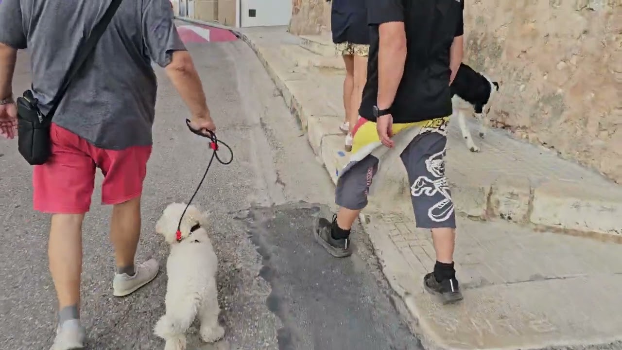 Socializando a Lucky (caniche)