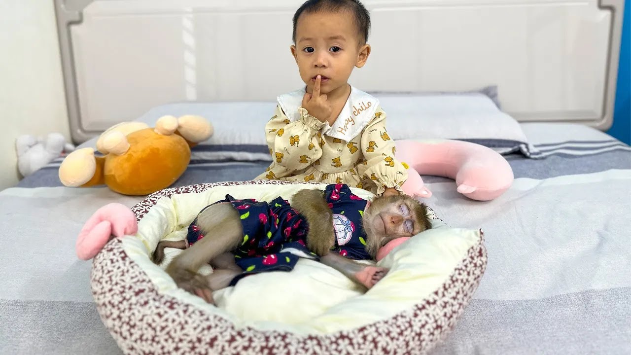 Diem is so cute lulling Monkey Kaka to sleep in new bed