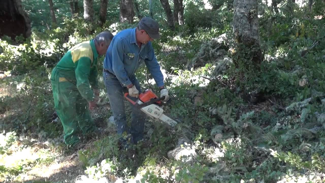 Cortando leña