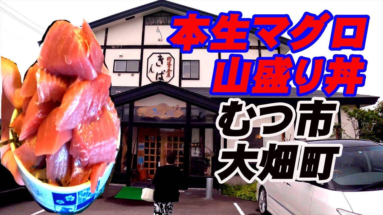 【グルメ旅 】むつ市大畑町　『街道の茶屋　きんぱ』本生マグロ山盛り丼が凄すぎた！！【鮪】【マグロ】