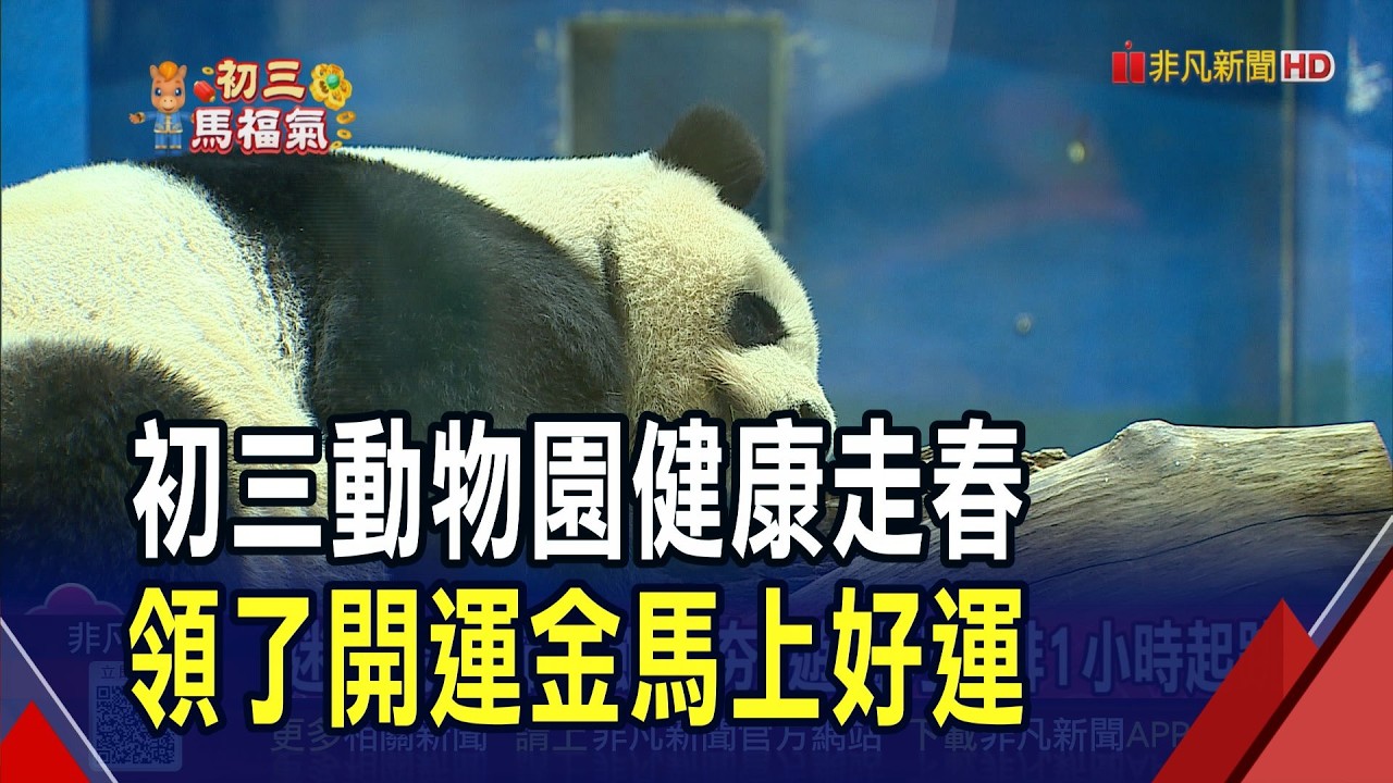 初三走春!動物園湧人潮  排隊領馬年開運金  把握好天氣! 初五高溫上看30度 下周二變天｜非凡財經新聞｜20260219