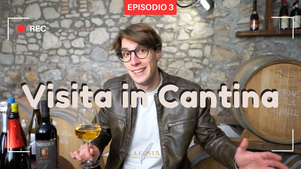 Visita alla cantina La Costa: vini dei Colli Euganei e tradizione vitivinicola 🍷
