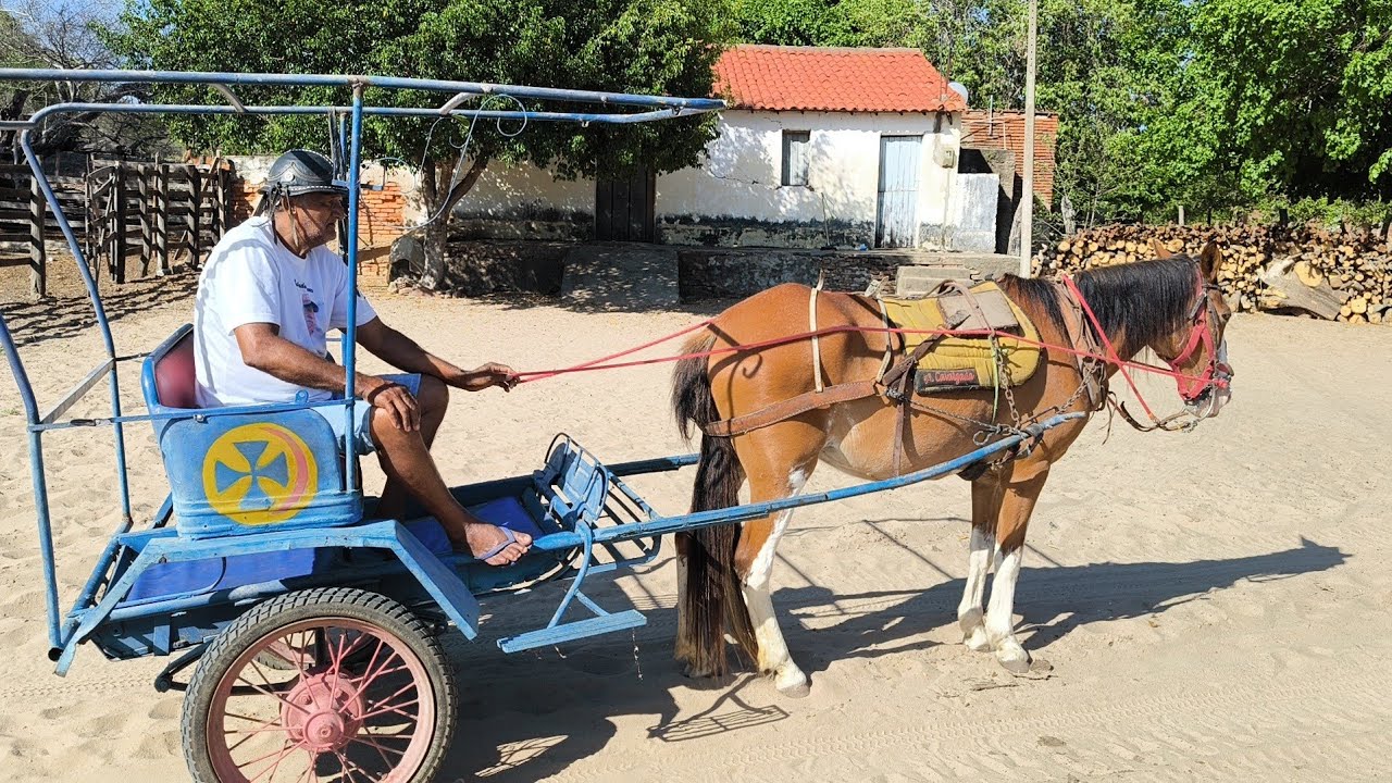 VEJA AS RIQUEZAS DE SÃO JOSÉ DO BELMONTE PERNAMBUCO no sertão nordestino brasileiro.