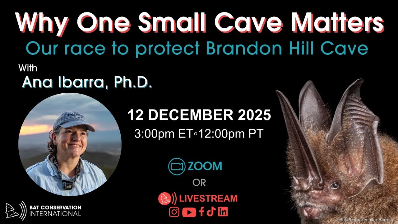 Live Webinar: Why One Small Cave Matters