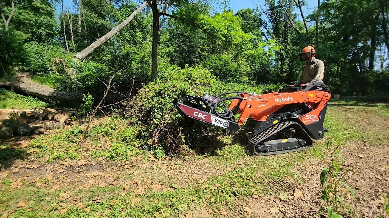 Kubota SCL1000 Mini Skid Steer in Action — Brush Clearing Beast!