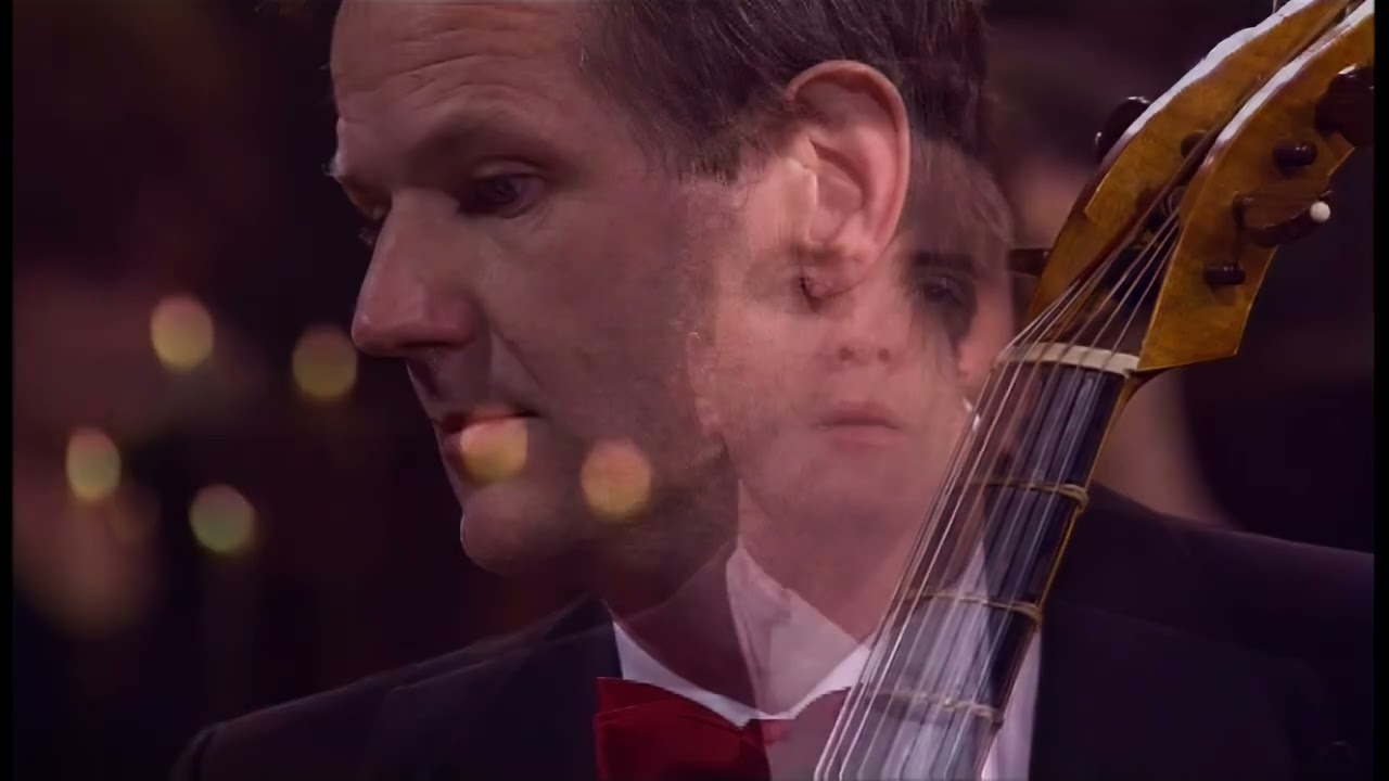 J.S. Bach - Alto Aria 