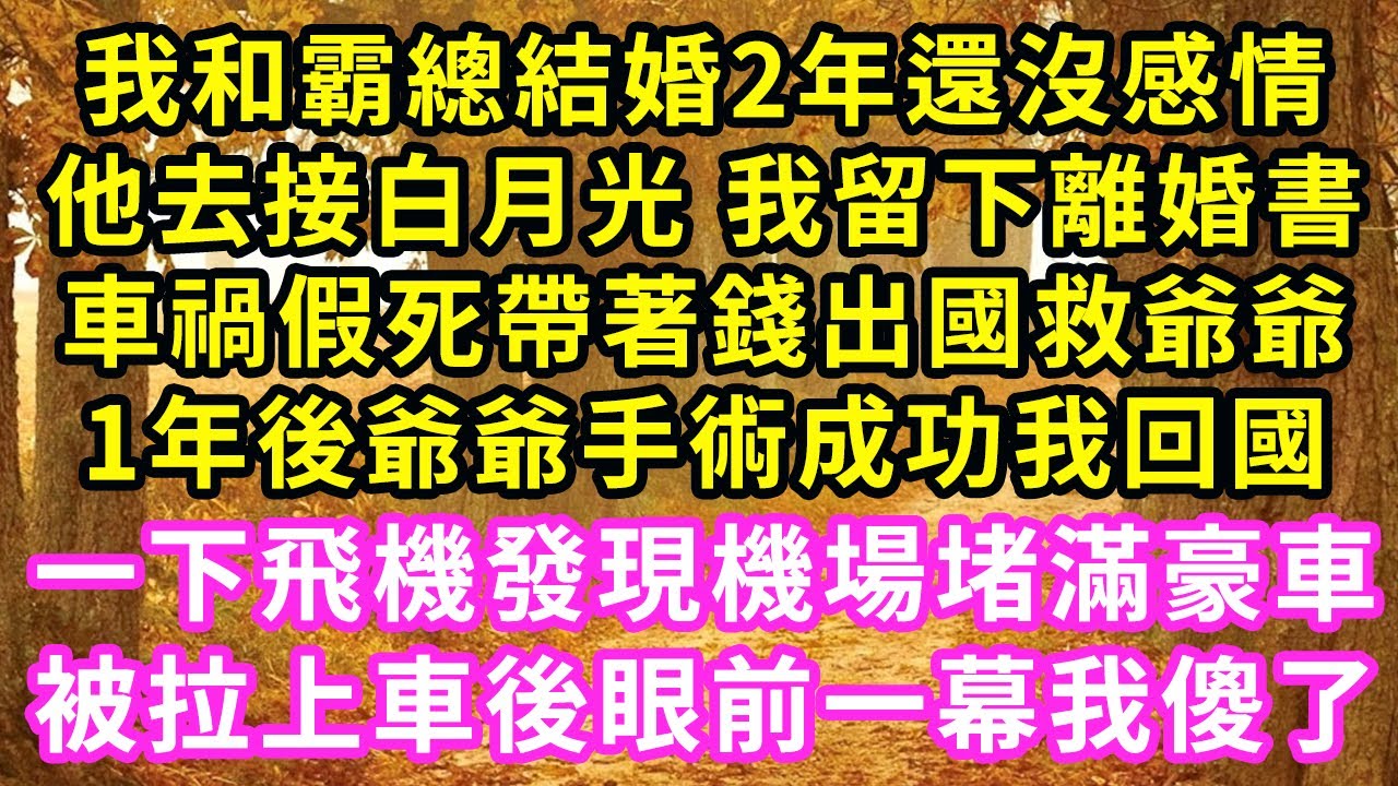 我和霸總結婚2年還沒感情，他去接白月光 我留下離婚書，車禍假死帶著錢出國救爺爺，1年後爺爺手術成功我回國，一下飛機發現機場堵滿豪車，被拉上車後眼前一幕我傻了#甜寵#灰姑娘#霸道總裁#愛情#婚姻