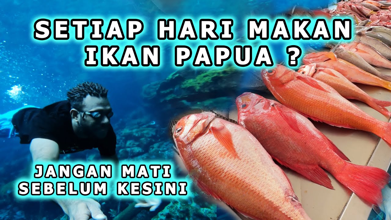 SETIAP HARI MAKAN IKAN ? WISATA & PASAR IKAN PAPUA - BIAK NUMFOR