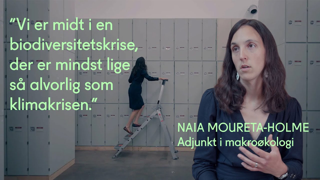 Kortlægning af naturen – Naia Morueta-Holme
