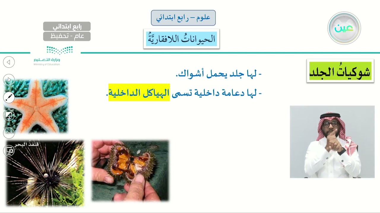 إثراءات الحيوانات اللافقارية - العلوم - رابع ابتدائي