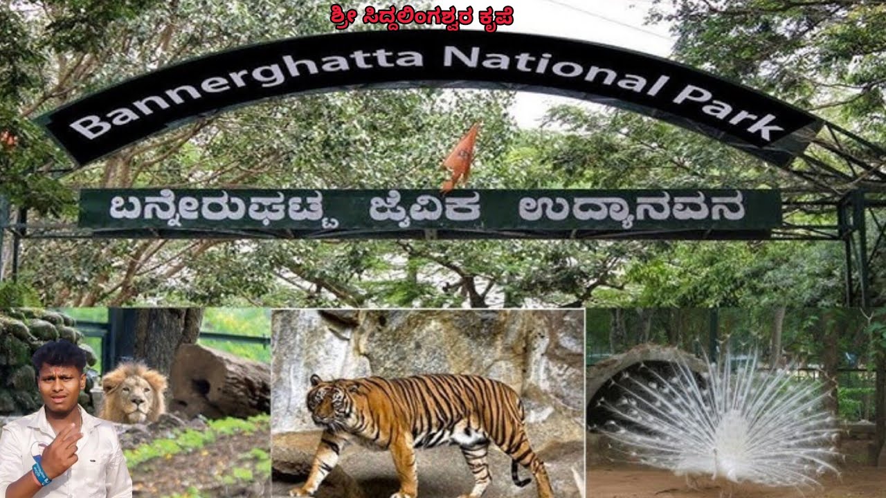 ಕರಡಿ ಕುಣಿತ, ಸ್ನೇಕ್ ಡ್ಯಾನ್ಸ್, ಆನೆ ಚಿರತೆ ಸಿಂಹಗಳ ಗಾಂಭೀರ್ಯತೆ.#funny #international #viralvideo #viral