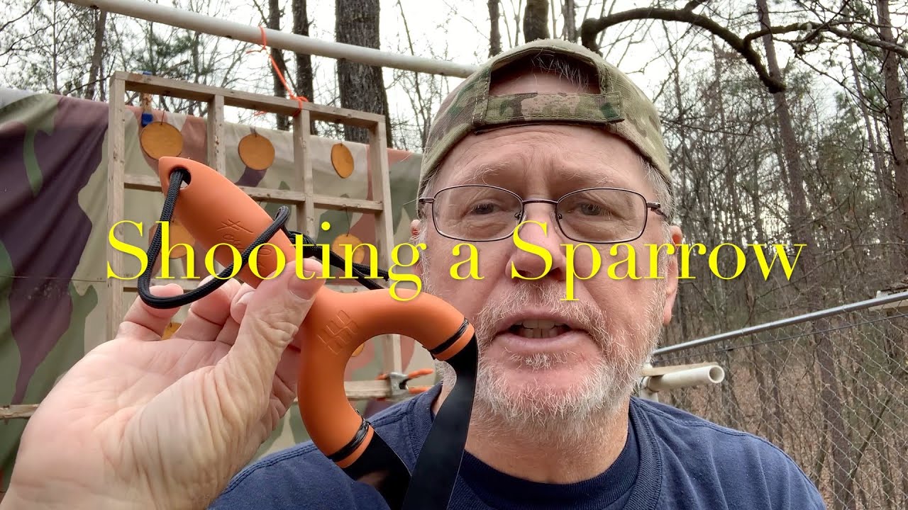 Shooting a Sparrow