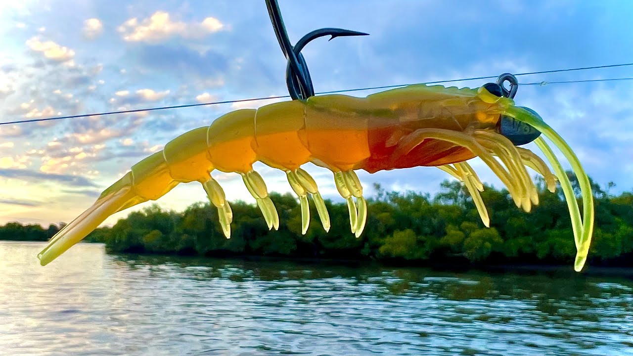 THIS NEW LURE CATCHES EVERYTHING!