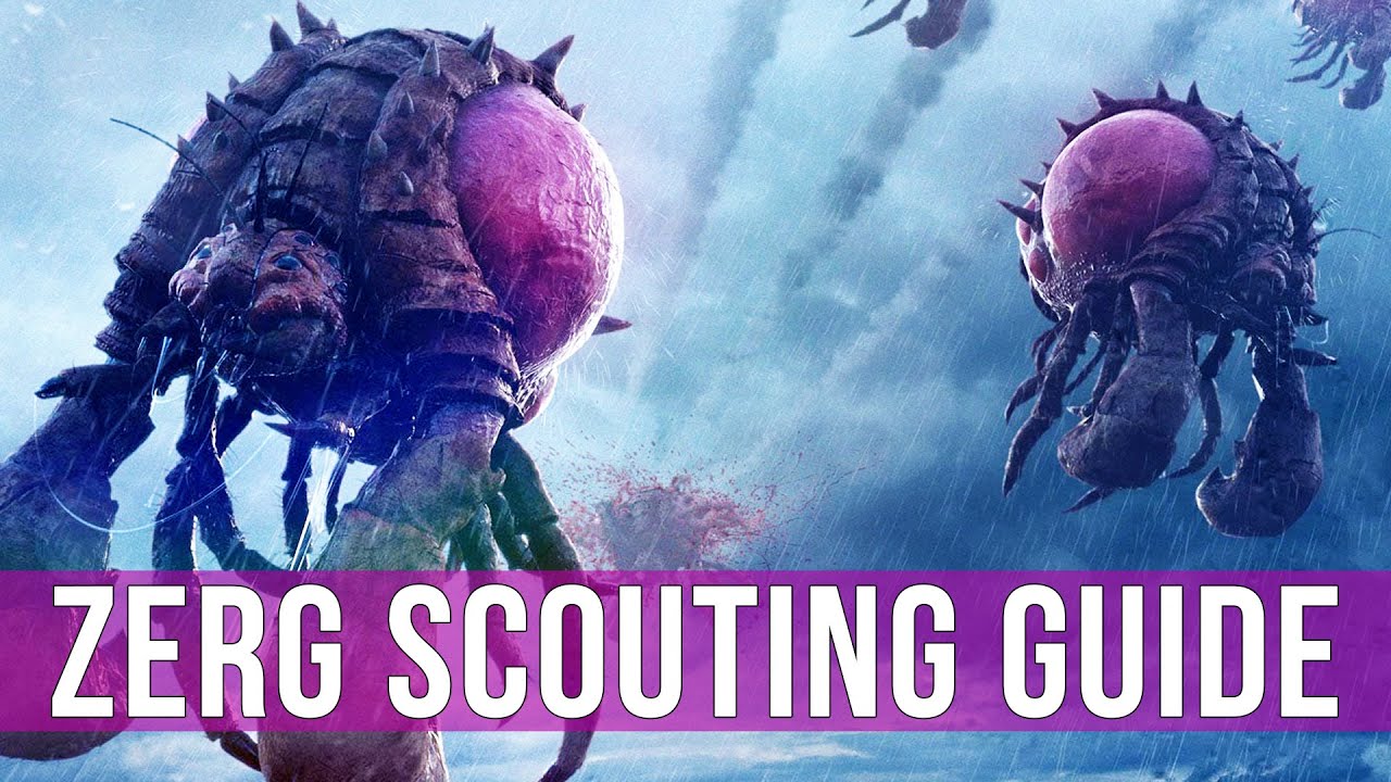 StarCraft 2: Legacy of the Void - Zerg Scouting vs Protoss! (Zerg Guide)