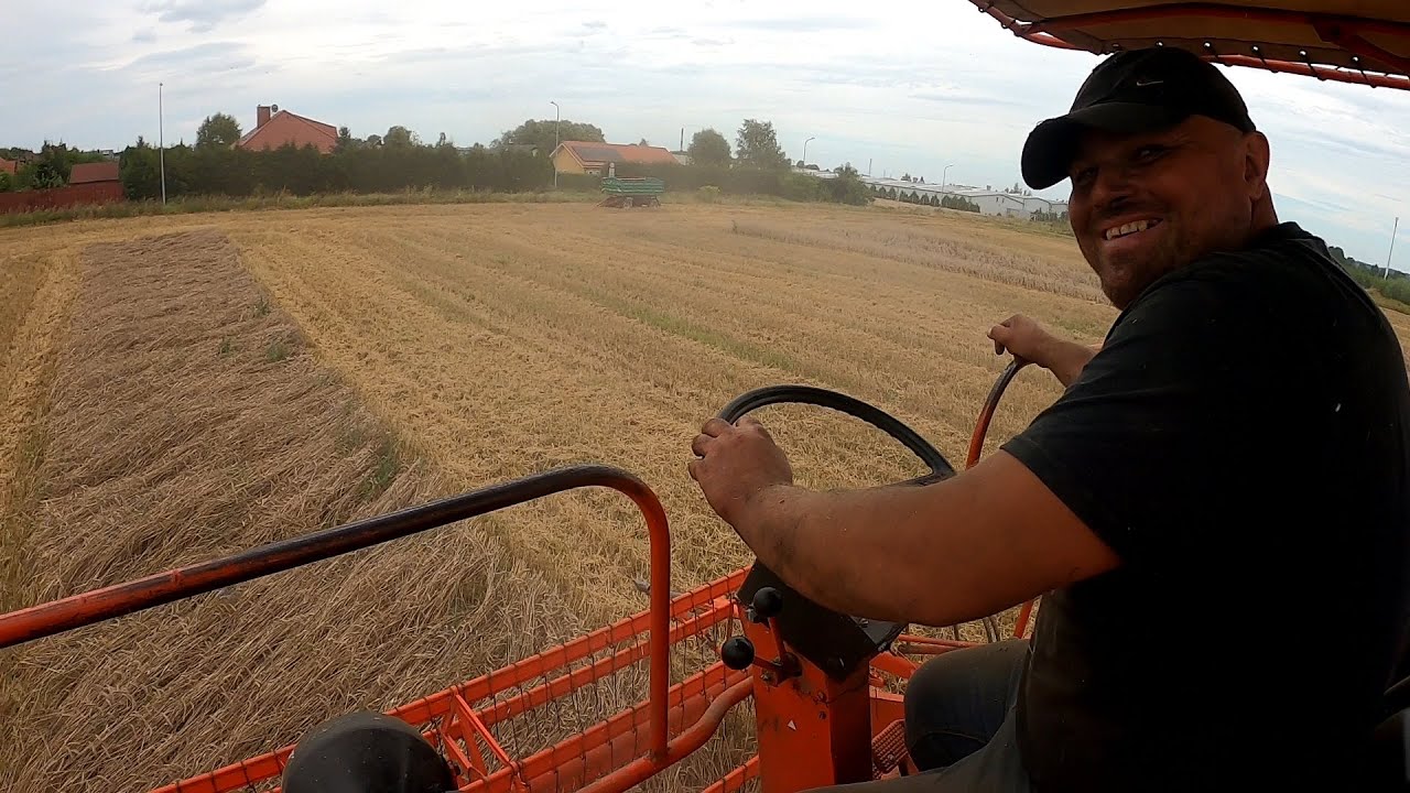 Koszenie żyta Bizonem na Testy lecz deszcz nagle się pojawił