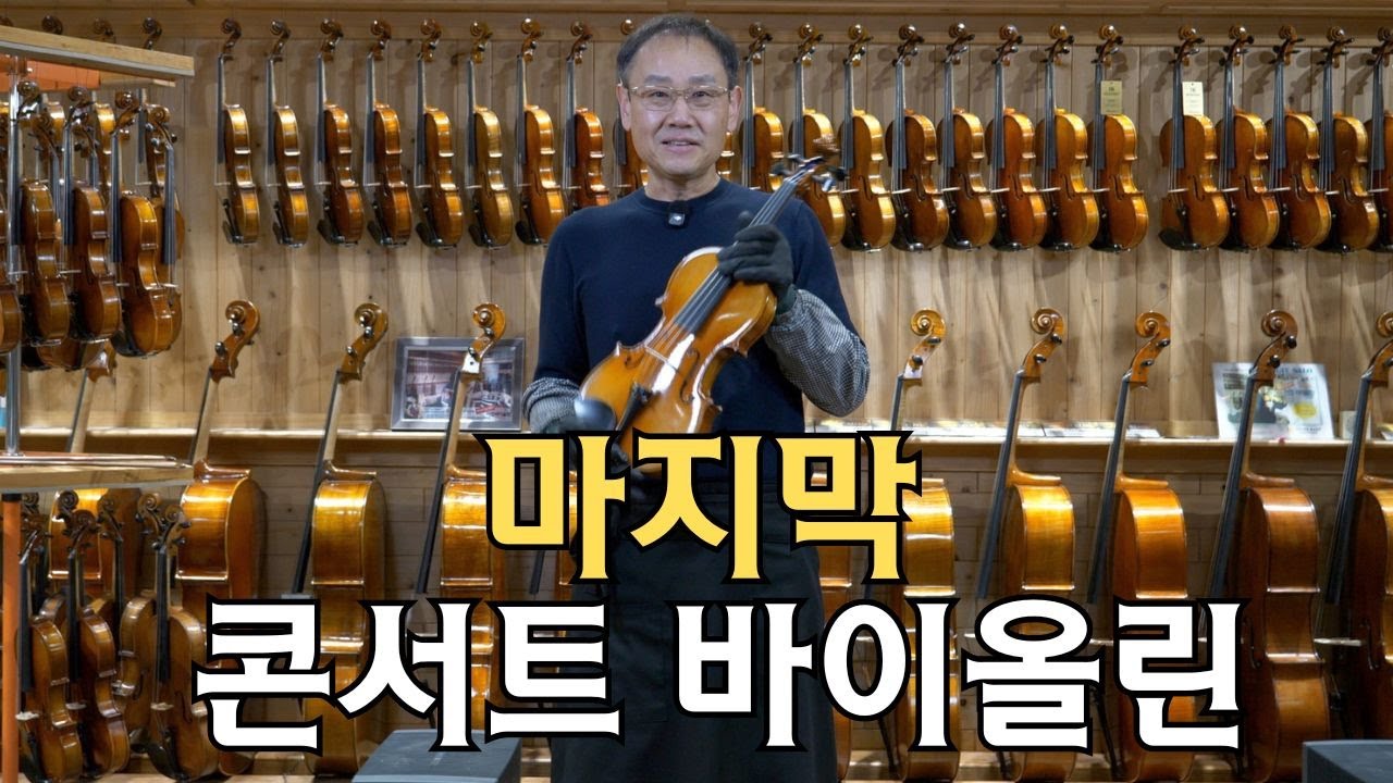 이보다 좋은 콘서트 바이올린은 없습니다! 선별된 목재로 제작된 한정판 콘서트 바이올린