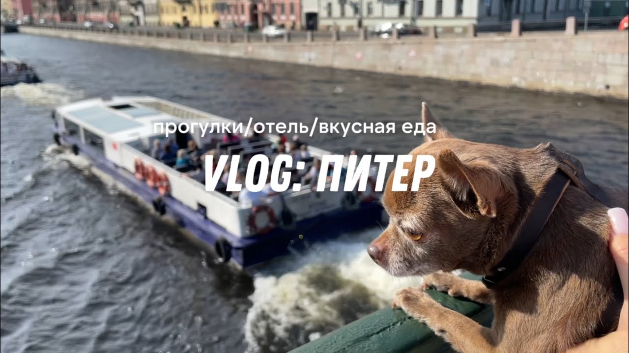 В ПИТЕР с мужем и 🐕 на 5 дней🤍 Куда сходить если вы первый раз в городе🫶🏻 Солнечный сентябрь 2024