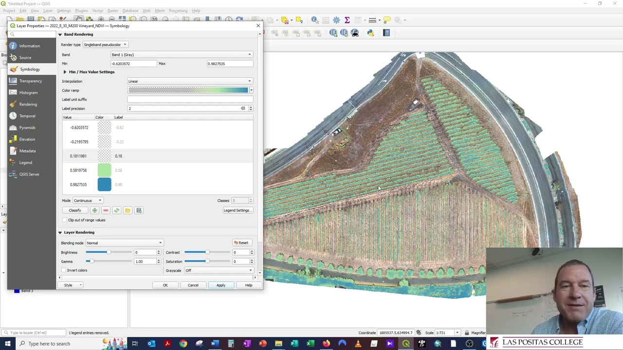 Tutorial - Vineyard Visual Inspections using NDVI Indexes from a drone.