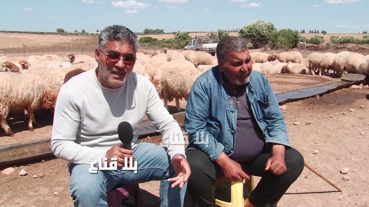 أشهر رحبة لبيع سلالة العلوش العربي..نقاش سااخن مع مربي مليون رأس غنم محروم من الأعلاف المدعمة؟!