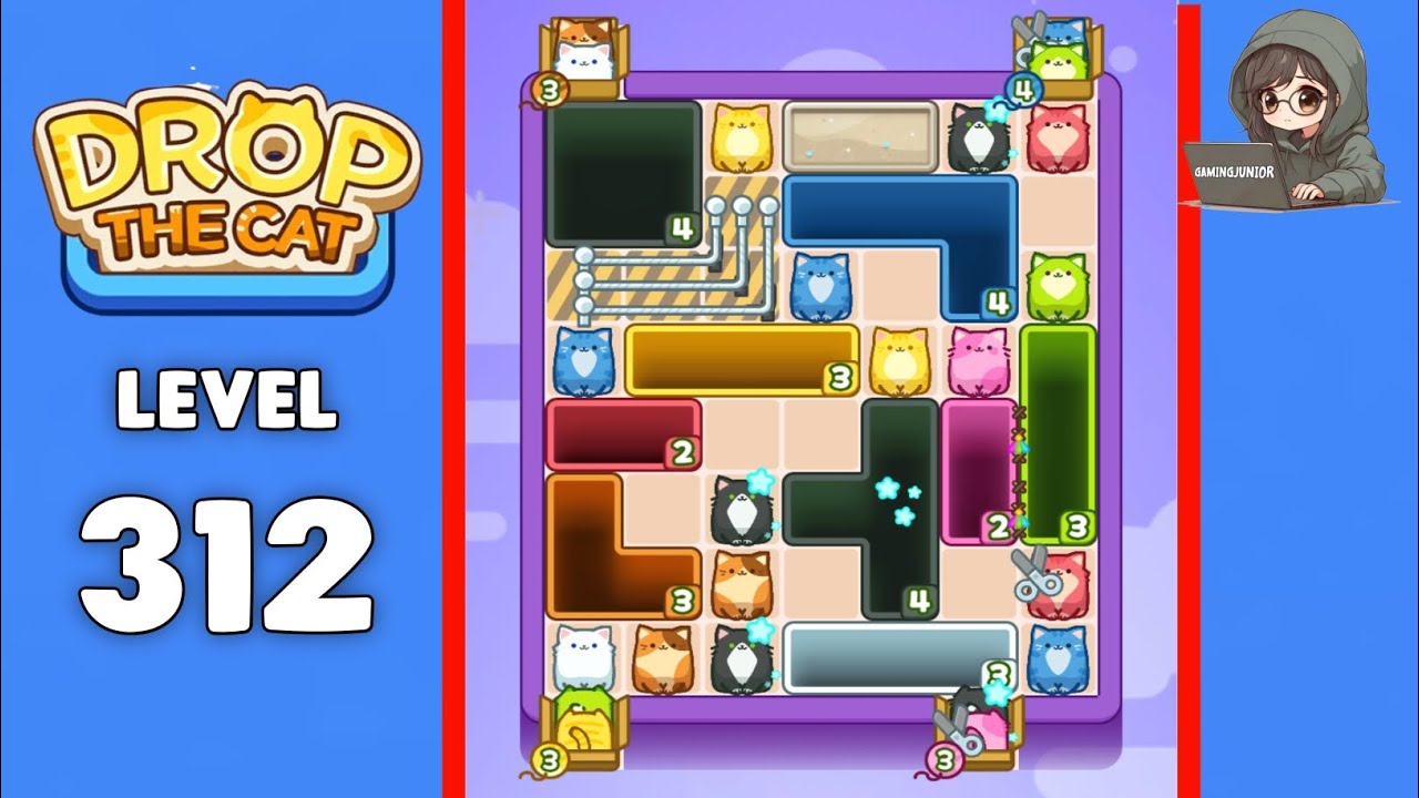 Drop The Cat level 312 solution