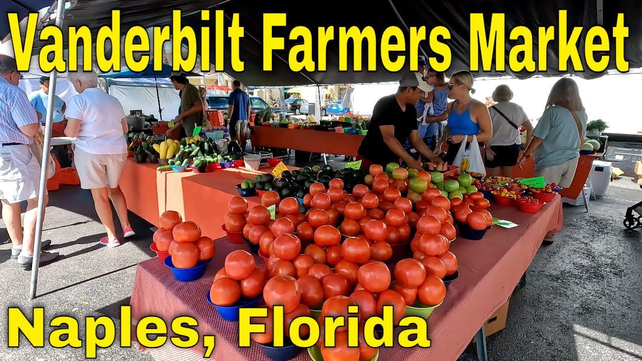 Vanderbilt Farmers Market in 4K!  A Taste Of Florida's Fresh Delights