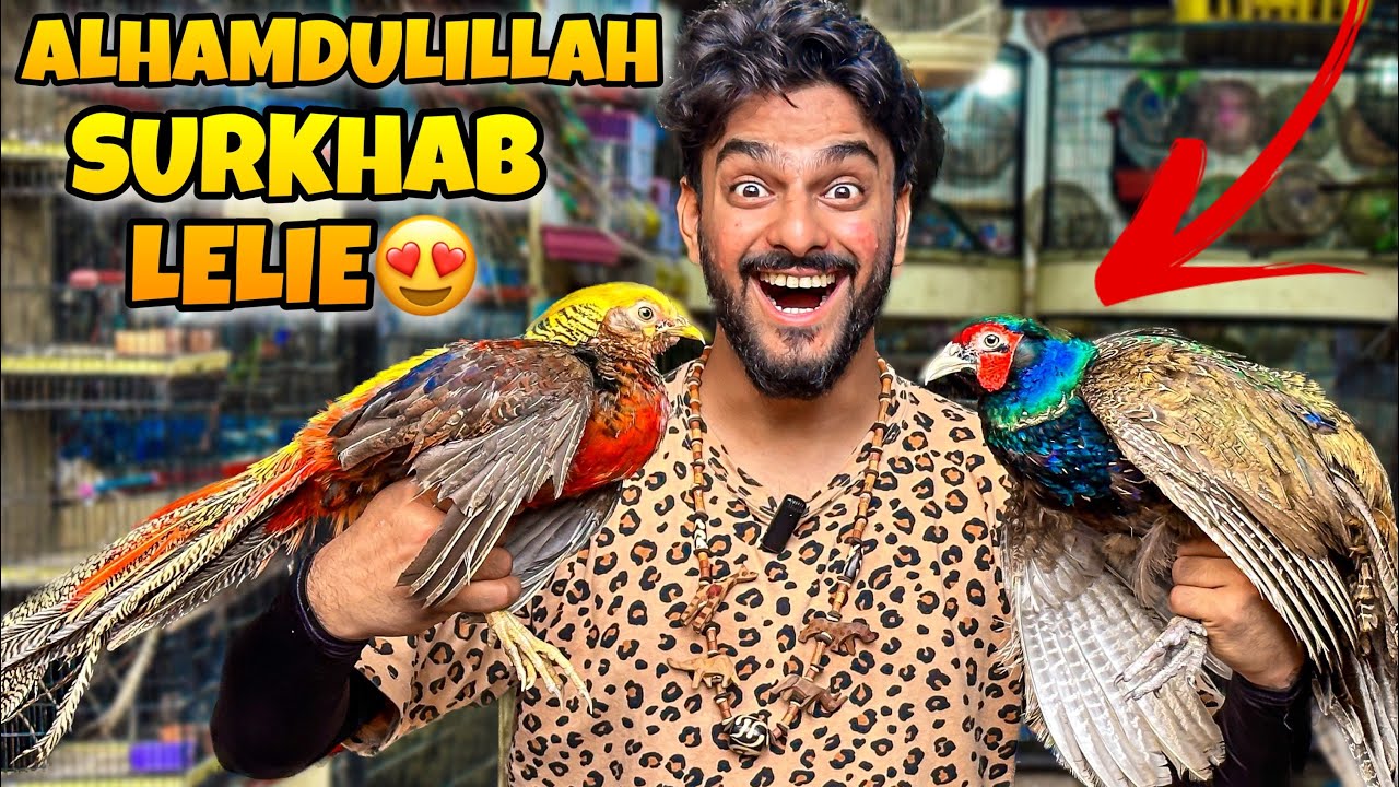 ALHAMDULILLAH 10 HAZAR K 2 SURKHAB LELIE😍 | MISHKAT KHAN | PET VLOG | THE FUN FIN