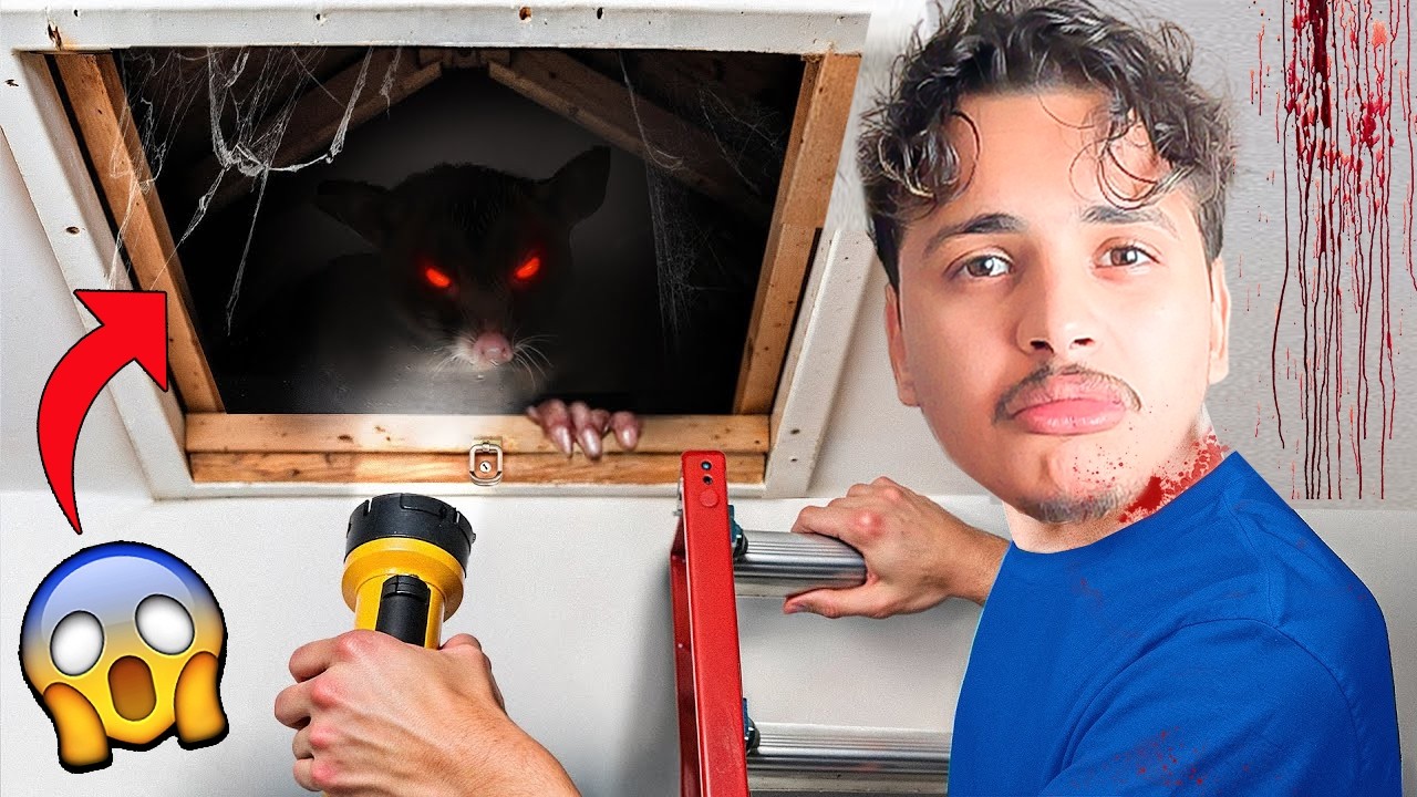 اللأسف …وجدنا غرفة سرية في مزرعة لعزاوي😱⁉️ هجمتنا اغرب الحشرات في منتصف الليل 😢💔 