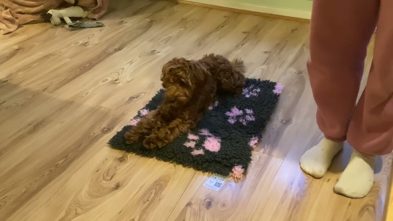 Mat game 2