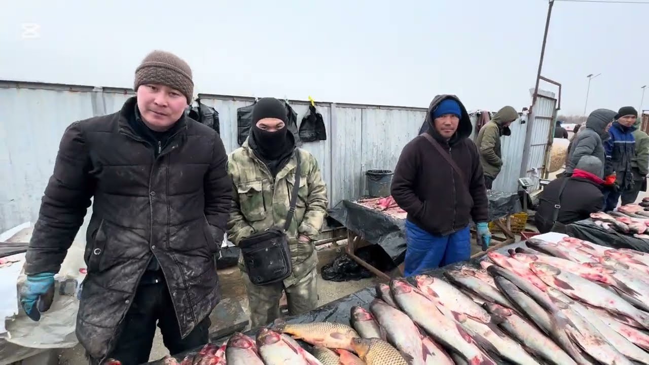 12 февраль 2026 Жыл ХАЛКАБАД ТАУЫК Базар БАЛЫК Базар БАХАЛАРЫ/#халкабад 