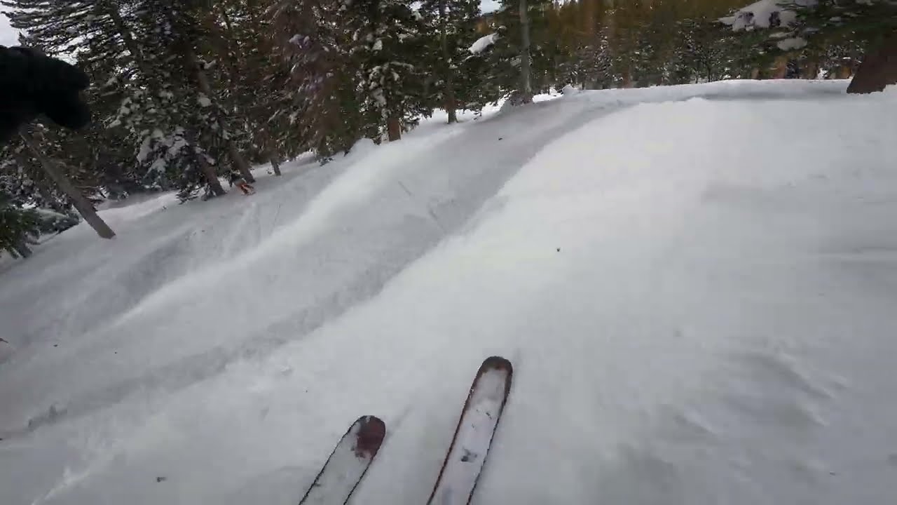 Skiing Trees at Brighton - Utah Jan 2022