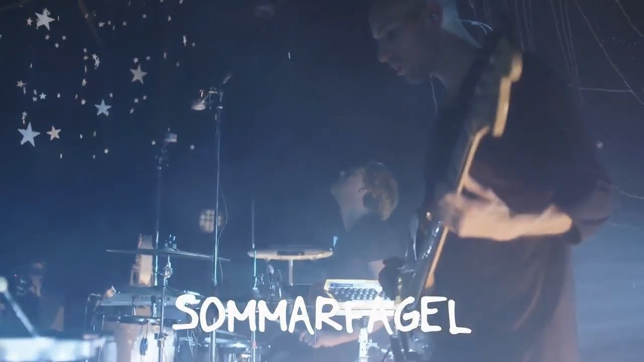 Wintergatan - Sommarfagel (Concert version)