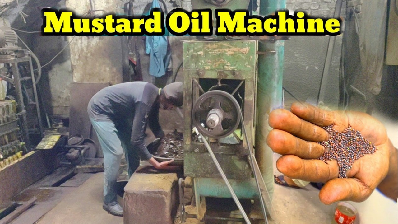 How Mustard Oil Is Made in a Factory | From Seeds to Bottles