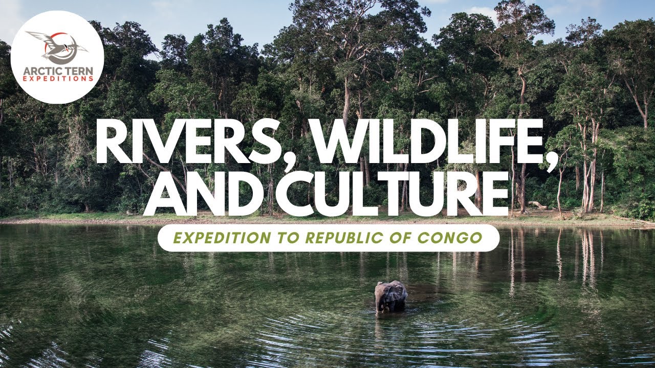 Expedition to Republic of Congo with Guillaume de Remacle