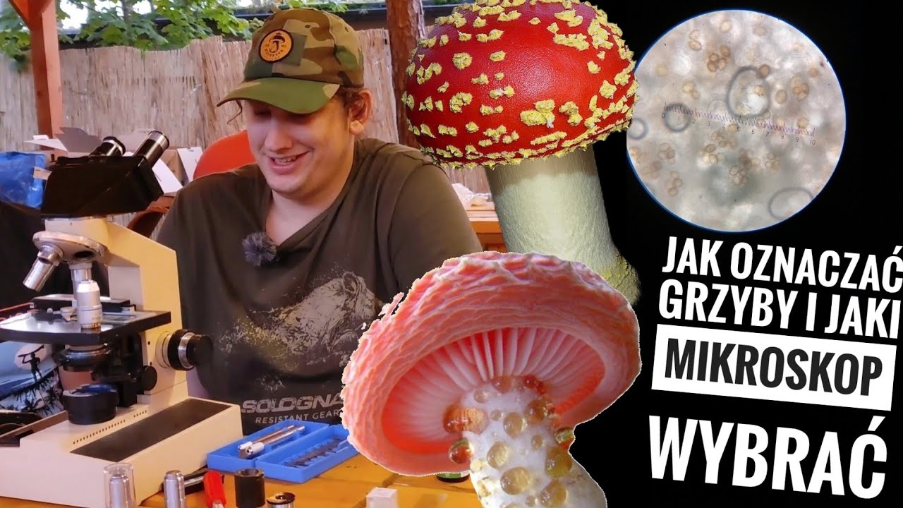 Jak oznaczać Grzyby i jaki mikroskop wybrać. #grzyboludy