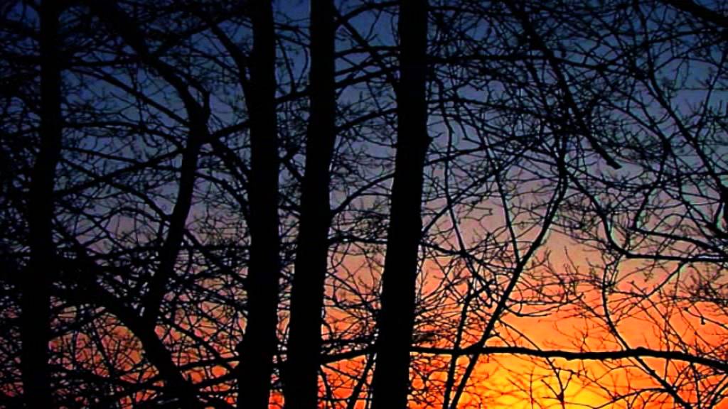 ALAIN VEINSTEIN    ODEON