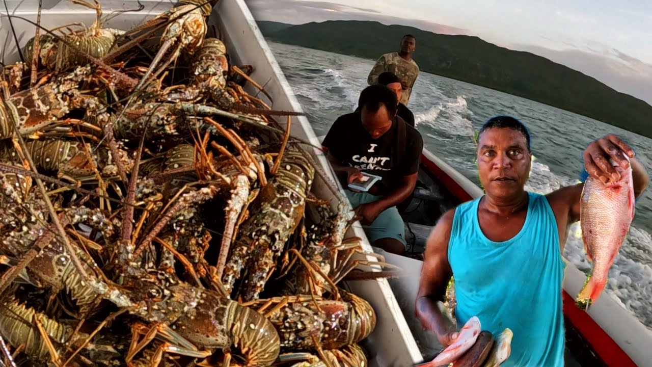 the fish pot are working miracles my greatest catch of all time 300 lb of lobster