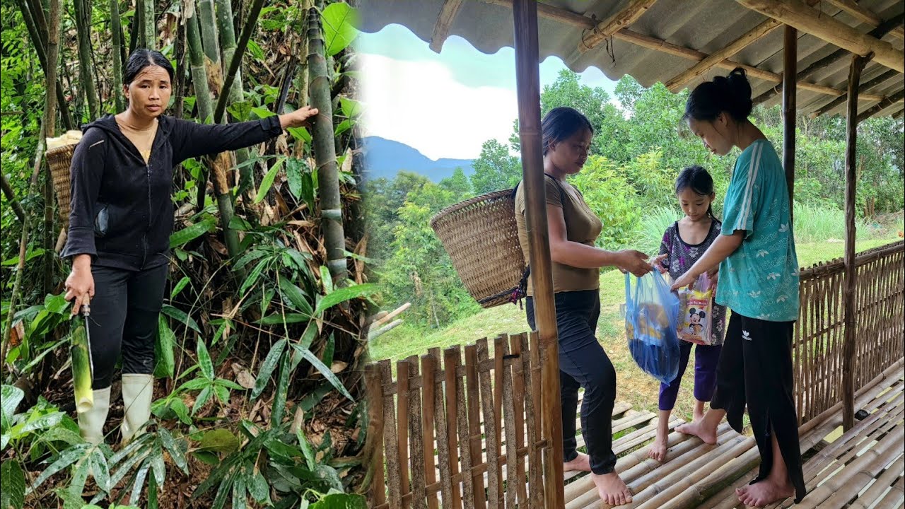 Lý Sểnh single alone picked bamboo shoots to sell at the market to feed his two children