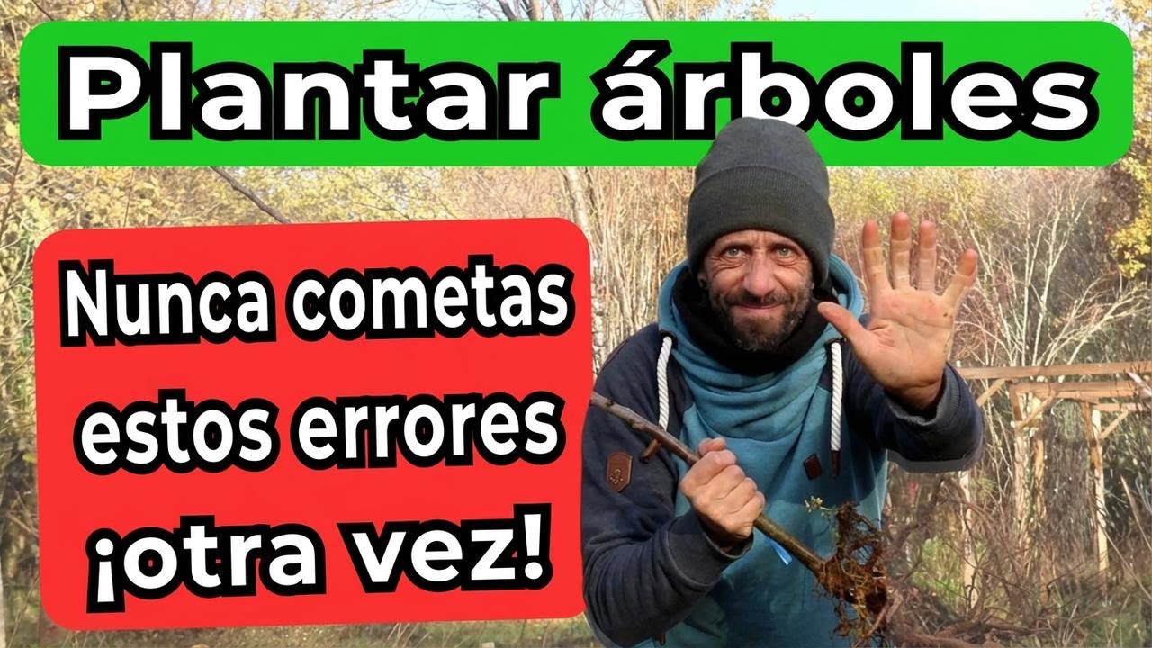 3 errores que debes evitar al plantar árboles. ¡No lo hagas así!