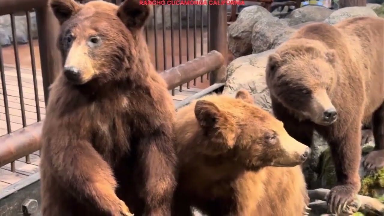 BASS PRO SHOPS RANCHO CUCAMONGA SAN BERNARDINO CALIFORNIA 2026
