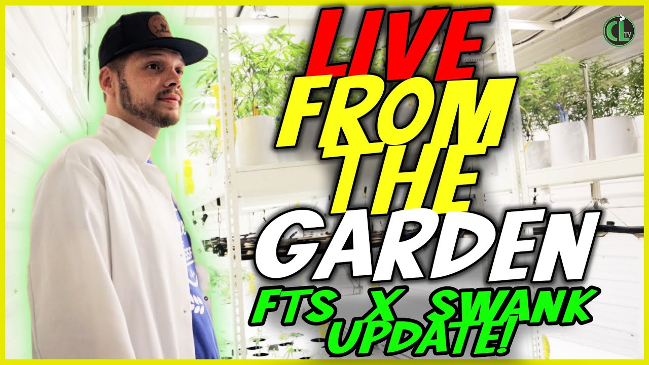 LIVE: Let's Get CRAZY TERPS in the Final Weeks of Flower!