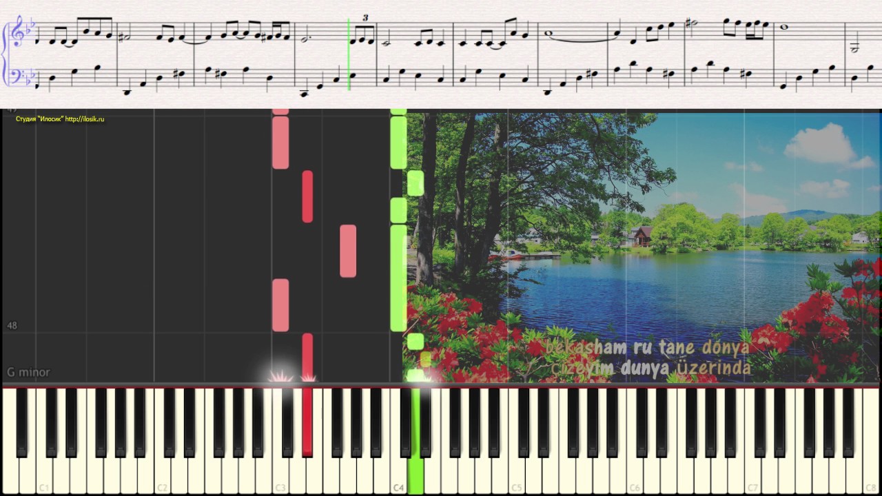 Moein - Roya (Ноты и Видеоурок для фортепиано) (piano cover)