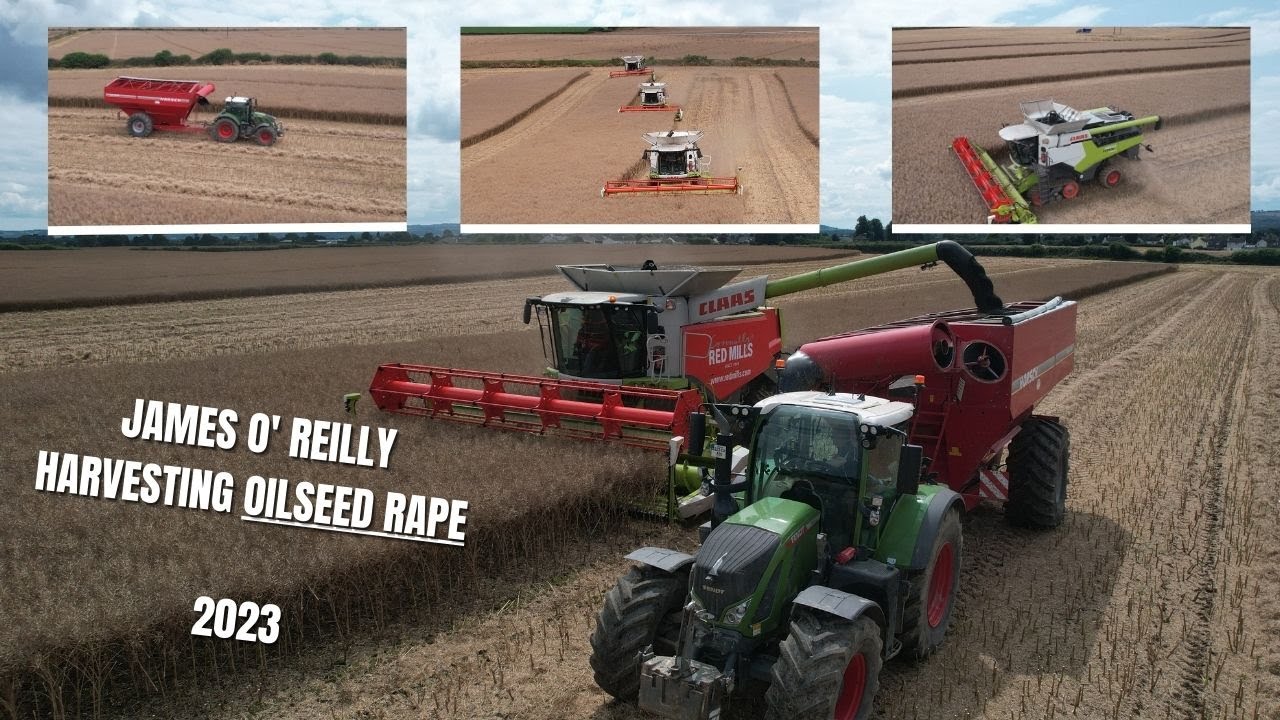 James O'Reilly Harvesting Oilseed Rape 2023