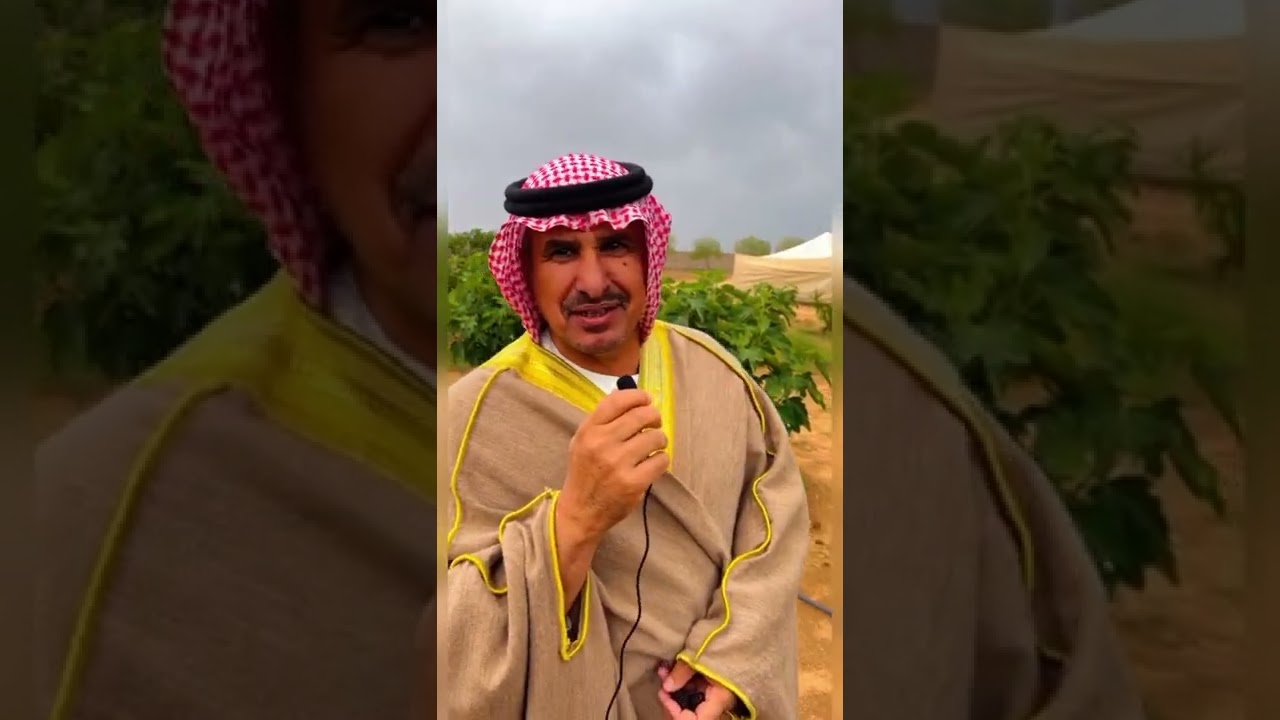 التقرير السادس عشر حيد المرازه قرية المراغه محافظة احد رفيده منطقة عسير